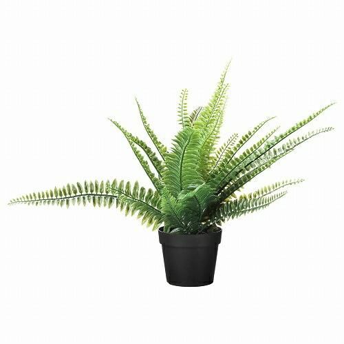 Ikea イケア 人工観葉植物 室内 屋外用 アビス 9x34cm M Fejka 株式会社クレール Ikeaイケアの製品を全国送料無料でお届け ネット通販 Ikea イケア 人工観葉植物 室内 屋外用 アビス 9x34cm M Fejka 株式会社クレール Ikeaイケアの製品を全国送料無料でお届け ネット通販