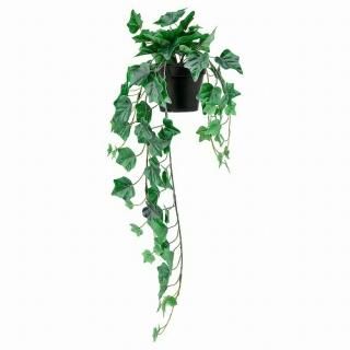 IKEA  ͹տʪ 4   Ĥ겼 إǥ 12x69cm m10461152 FEJKA ե