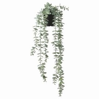 IKEA  ͹տʪ   Ĥ겼 桼 9x58cm m90466810 FEJKA ե