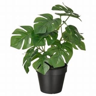 IKEA  ͹տʪ 4   󥹥ƥ 12x32cm m30493345 FEJKA ե
