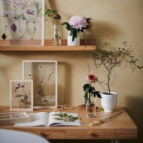 イケア IKEA 蝶の水彩画 12枚セット フレーム付き 壁飾り 額縁インテリア イケア IKEA 蝶の水彩画 12枚セット フレーム付き 壁飾り 額縁