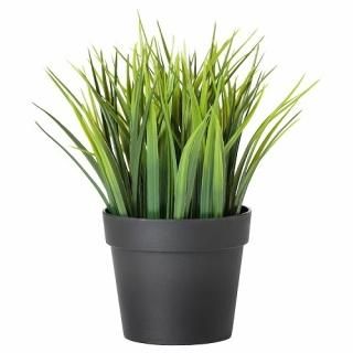 IKEA  ͹տʪ   饹 9cm m80433943 FEJKA ե