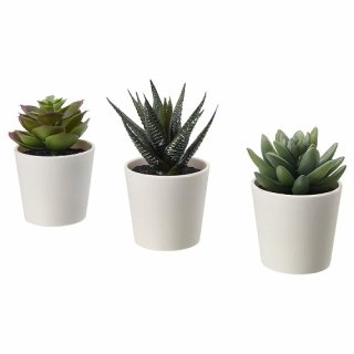 IKEA イケア 人工観葉植物 鉢カバー付き 室内 屋外用 Succulent 6cm 3ピース m20519765 FEJKA フェイカ 