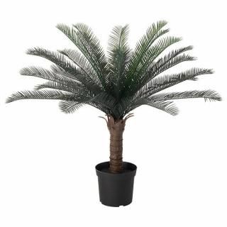 IKEA  ͹տʪ 7   ƥ 19cm m10410313 FEJKA ե