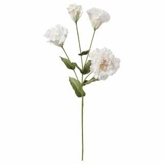 IKEA  ¤ ȥ륳祦 ۥ磻 60cm m80409735 SMYCKA ߥå