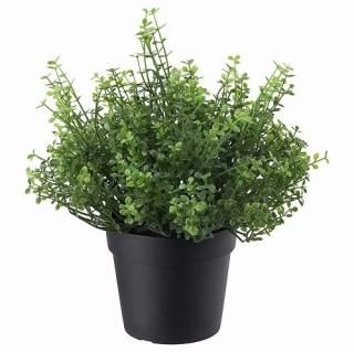 IKEA  ͹տʪ   ٥ӡƥ 9cm m80532778 FEJKA ե