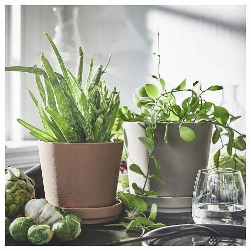 IKEA イケア 植木鉢 受け皿付き 室内 屋外用 グレーブラウン IKEA イケア 植木鉢 受け皿付き 室内 屋外用 グレーブラウン
