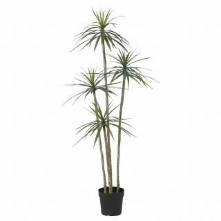 IKEA  ͹տʪ 8   ɥ饻 23cm m20548635 FEJKA ե