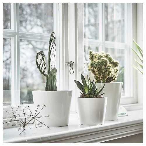 IKEA イケア 鉢カバー 5号 ホワイト 白 15cm m60533590 SOJABONA IKEA イケア 鉢カバー 5号 ホワイト 白 15cm m60533590 SOJABONA