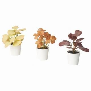 IKEA  ͹տʪ ȭդ3å    6cm m00582499 FEJKA ե 