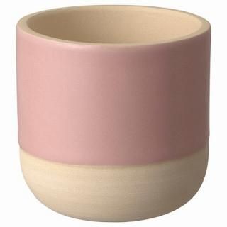 IKEA  ȭС   ԥ ١ 6cm m60580954 MAJROSKOGEN ޥ 