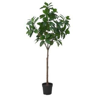 IKEA  ͹տʪ   ⥯ 23cm m70568895 FEJKA ե 