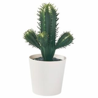 IKEA  ͹տʪ   ܥƥ 6cm m30587155 FEJKA ե 