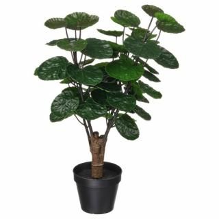 IKEA  ͹տʪ   ꥢ 12cm m40600892 FEJKA ե 