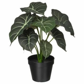 IKEA  ͹տʪ    12cm m10600879 FEJKA ե 