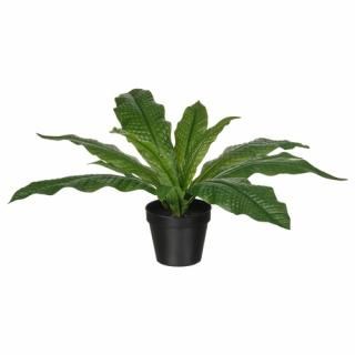 IKEA  ͹տʪ   ե 12cm m30600883 FEJKA ե 