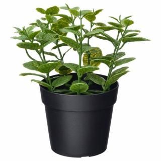 IKEA  ͹տʪ   ߥ 9cm m20600869 FEJKA ե 
