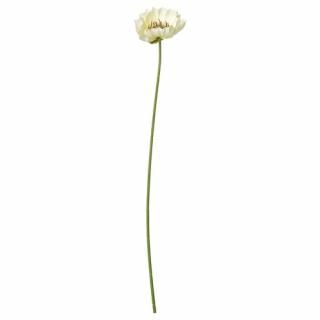 IKEA  ¤ / Poppy/ۥ磻 51 cm  m60606039 SMYCKAߥå