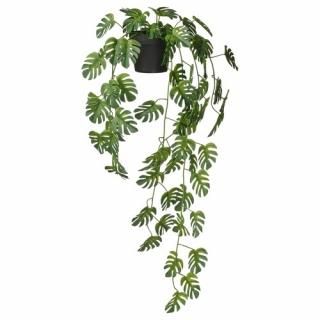 IKEA  ͹տʪ / Ĥ겼/󥹥ƥ 9 cm  m00608404 FEJKA ե 