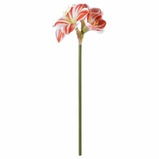 IKEA イケア 造花 室内/屋外用 アマリリス/レッド ホワイト 60 cm m50606638 VINTERFINT ヴィンテルフィント