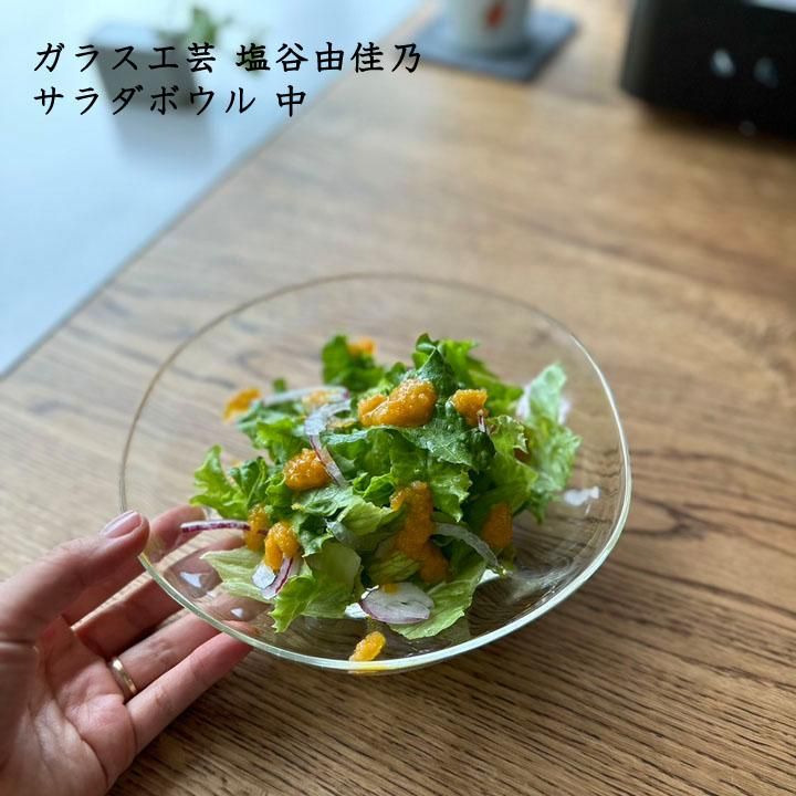 ガラス工芸 塩谷由佳乃 サラダボウル 中 - 作家ものの器と生活