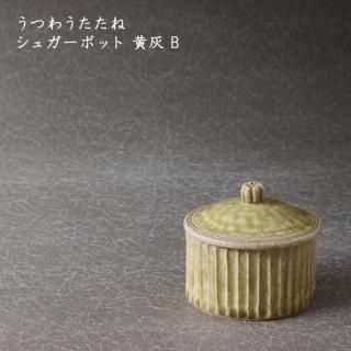 Ĥ臘͡奬ݥå  B
