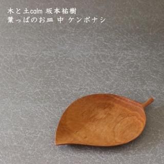 ڤcalm ʹդäѤΤ  ܥʥ