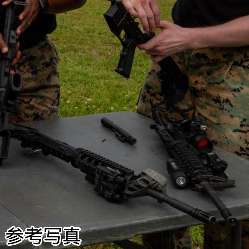 Amazon.co.jp: WADSN AN/PEQ-15A DBAL-A2 タイプ エイミング