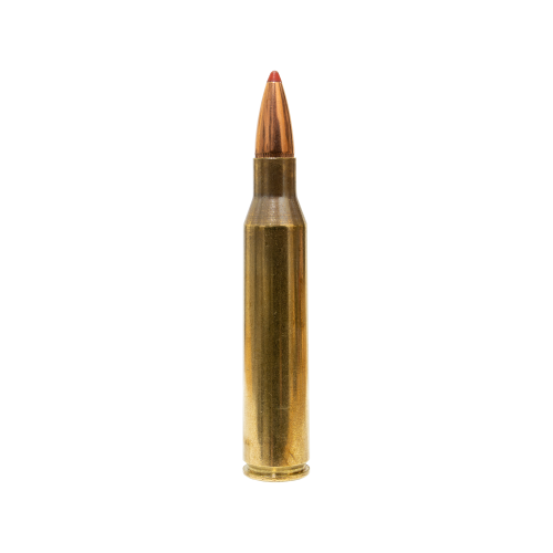 .338 ץޥʥ ߡ