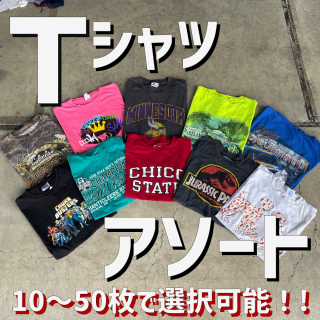 <img class='new_mark_img1' src='https://img.shop-pro.jp/img/new/icons60.gif' style='border:none;display:inline;margin:0px;padding:0px;width:auto;' />Tシャツ10着アソート