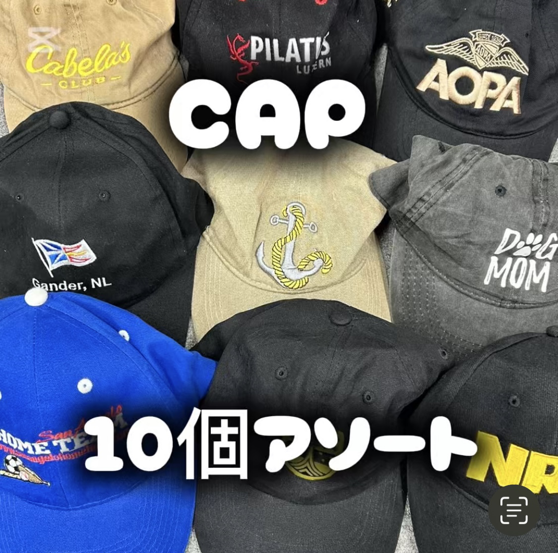 CAP10ĥ