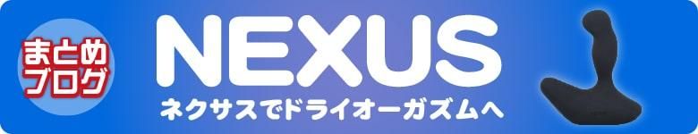 ͥǥɥ饤
