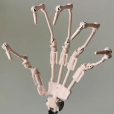 Dimedoll»Ø´ØÀá²èÁü