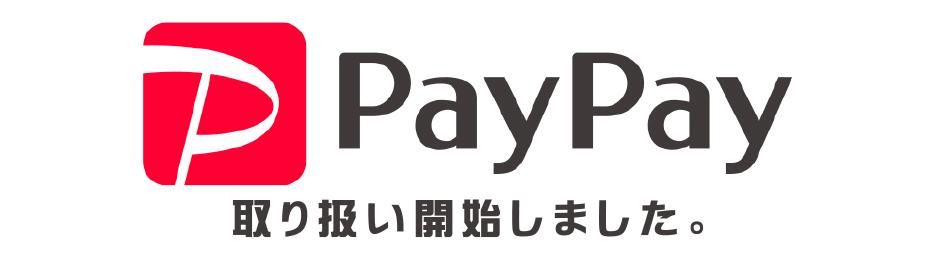 PayPayヘッダー