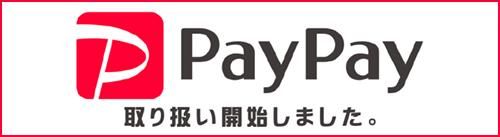 PayPay