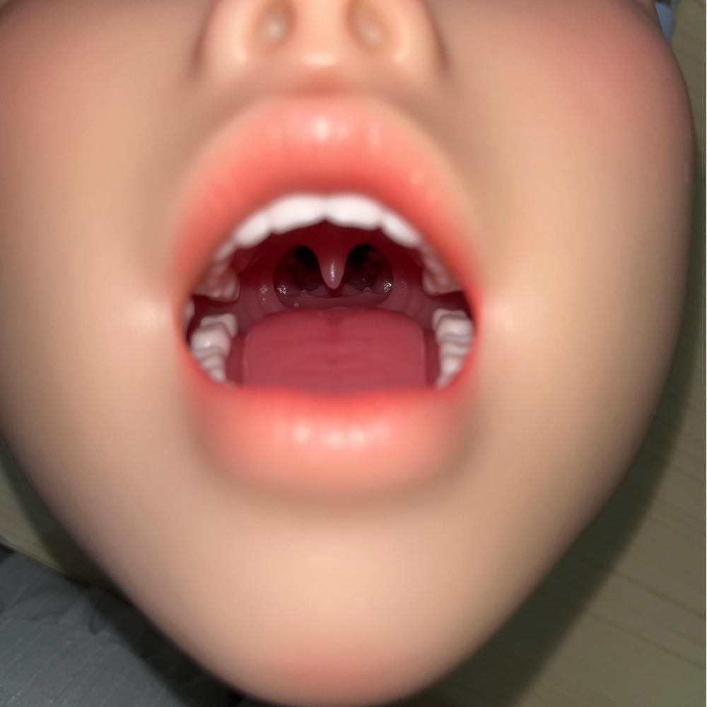 ¸ýÆâ²èÁü