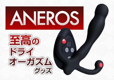 ¥¢¥Í¥í¥¹ÆÃ½¸