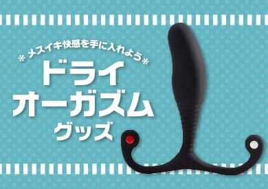 ɥ饤॰å