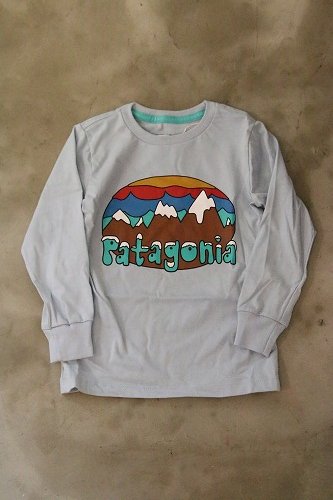 patagonia organic cotton graphic tee【美品】
