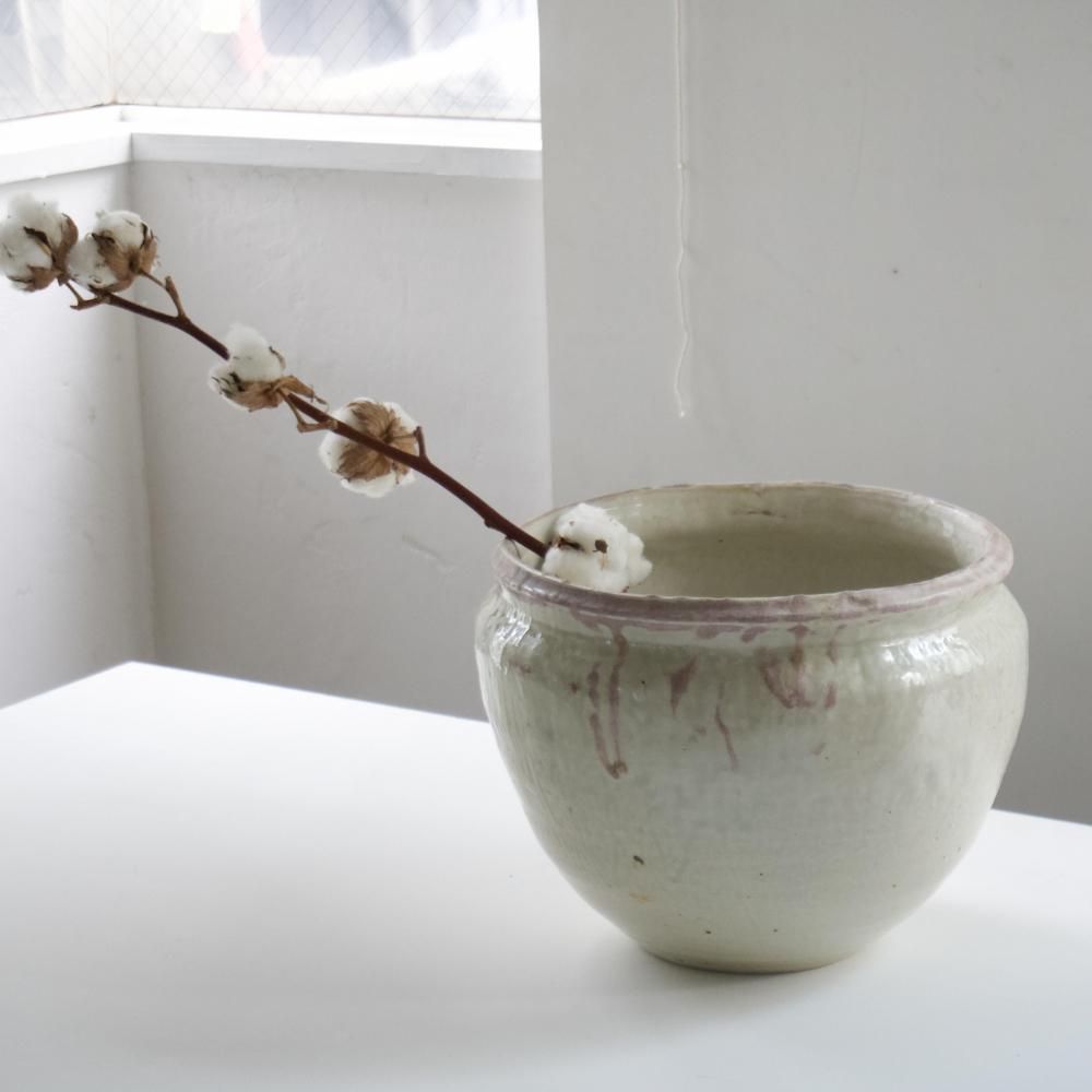 十場あすか / Asuka Juba ___ ceramic - gallery, あるゐは_shop