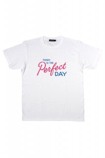 <img class='new_mark_img1' src='https://img.shop-pro.jp/img/new/icons47.gif' style='border:none;display:inline;margin:0px;padding:0px;width:auto;' />PRETO AND BRANCO × LETTERBOY■TEE (PINK-BLUE-WHITE)