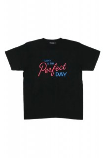 <img class='new_mark_img1' src='https://img.shop-pro.jp/img/new/icons47.gif' style='border:none;display:inline;margin:0px;padding:0px;width:auto;' />PRETO AND BRANCO × LETTERBOY■TEE (PINK-BLUE-BLACK)