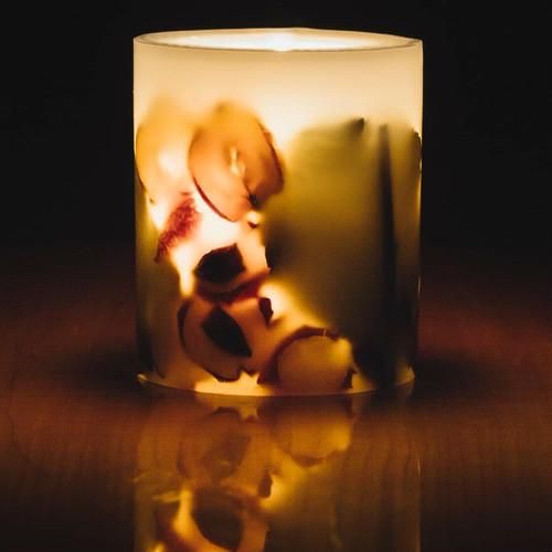 ボタニカルキャンドル YOAKEnoAKARI ボタニカルキャンドル Apple - pebble