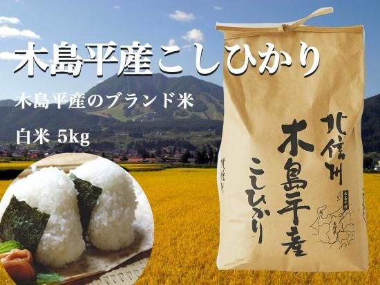 木島平産コシヒカリ 5kg - 信州産ソルガム・グルテンフリー食品