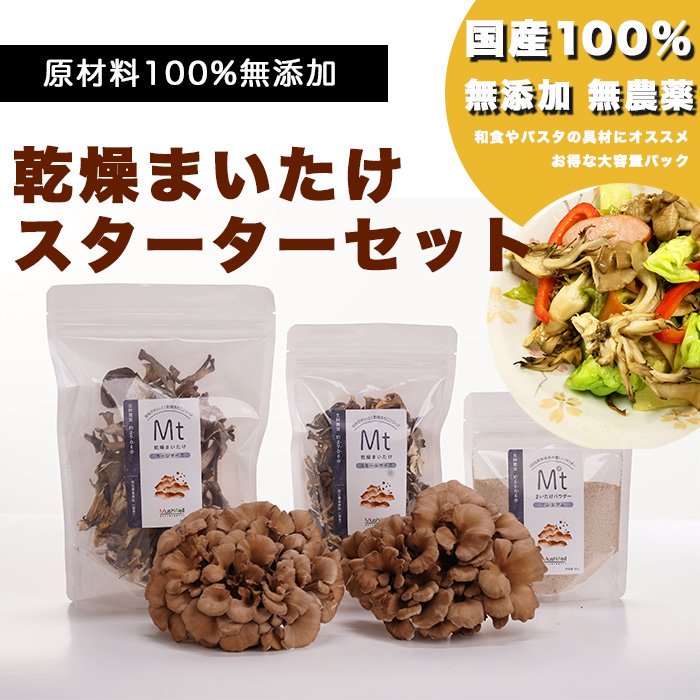 乾燥舞茸 お試しスターターセット 乾燥舞茸ラージ スモール各20g