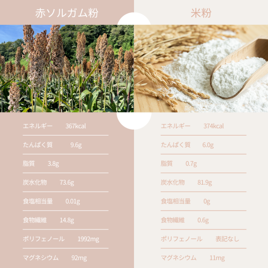 グルテンフリーパン 縁パン 味は店長におまかせセット 【通常10