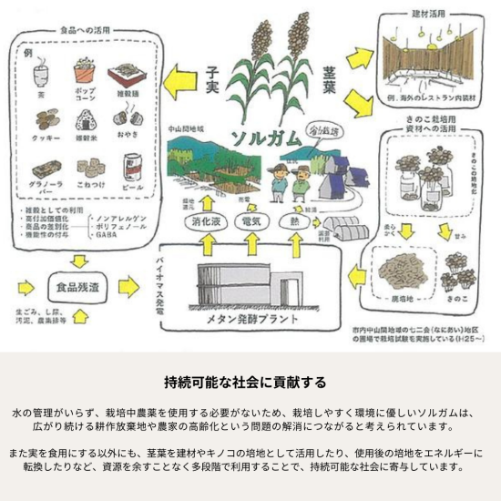 グルテンフリーパン 縁パン 味は店長におまかせセット 【通常10