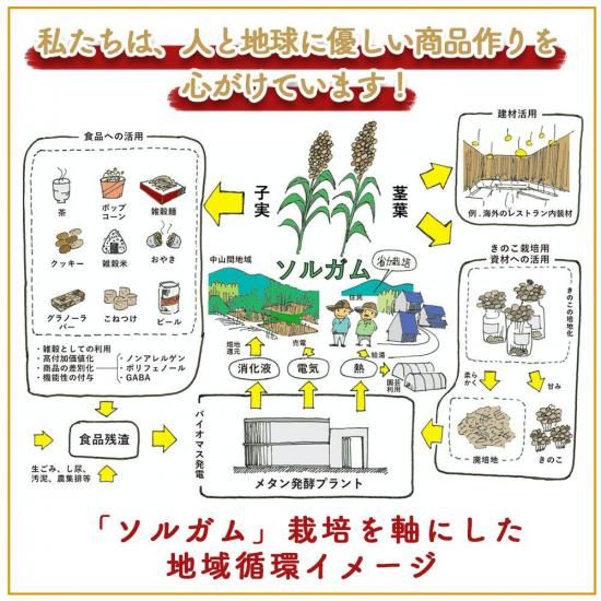 グルテンフリー様10セット グルテンフリードーナツ10種類 10個セット
