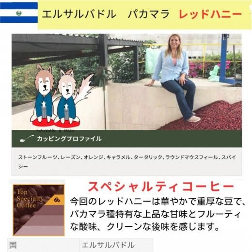륵Хɥ롡ѥޥ顡åɥϥˡʣg