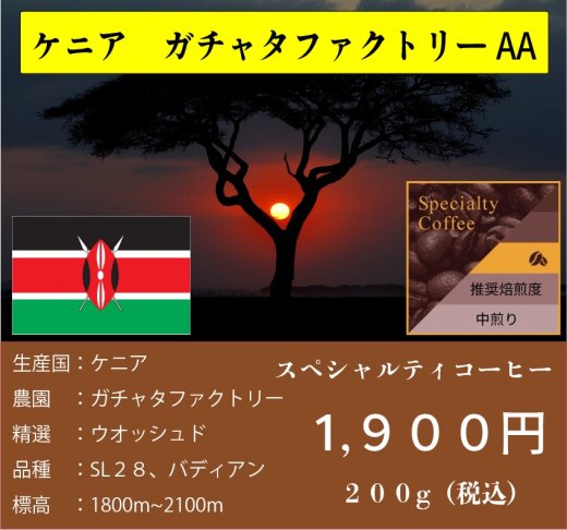 ケニア　ガチャタファクトリー　AA　（２００g）